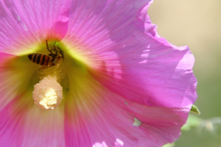 מהו מרחב למידה חוץ כיתתי? משרד אדריכלות נוף, Avishai Friedman