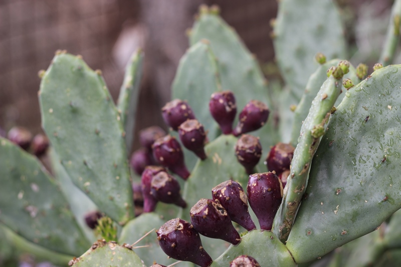 למה צריך כתיבה שיווקית? ליאת עברי - מועדון כתיבה שיווקית, Storytelling