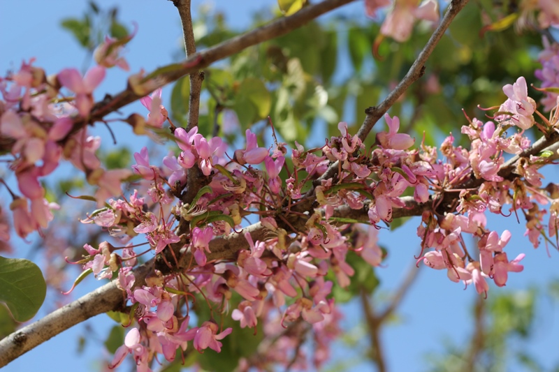 מהי כתיבה שיווקית? ליאת עברי עיני - מועדון כתיבה שיווקית