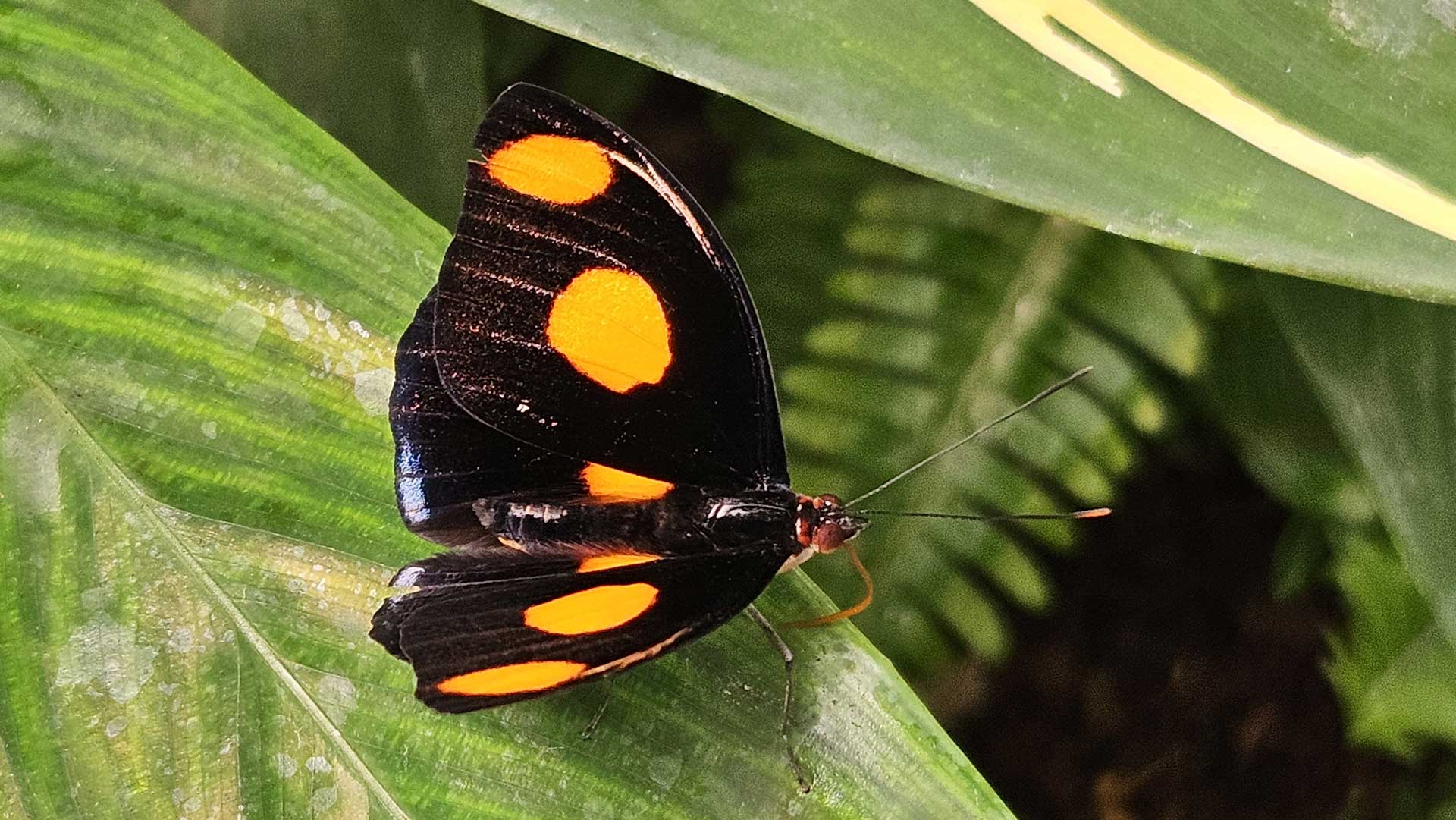 גיוס כספים לעמותות - איך בונים תשתית נכונה לגיוס כספים? אברהם אייזן