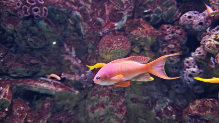פיזיותרפיה ספורט | איך יודעים אם כאב הוא “חלק מהאימון” או סימן לפציעה?