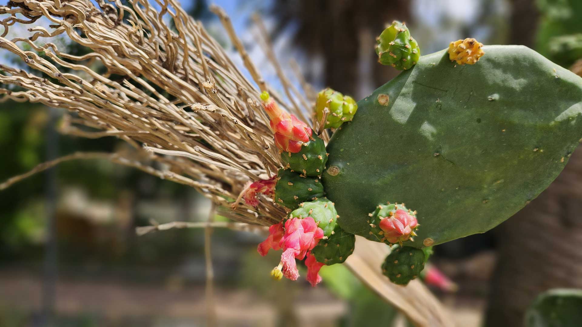 איך כותבים ניוזלטר שאנשים באמת קוראים? ליאת עברי, כתיבה שיווקית