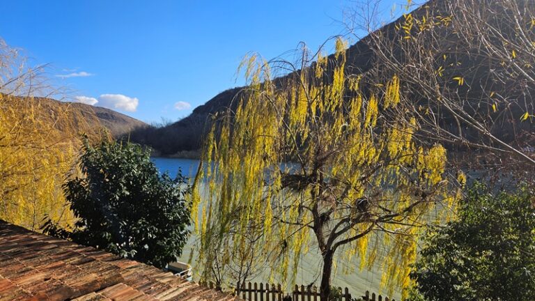 אלדר לב רן | מה ההבדל בין ניהול זמן לניהול אנרגיה? מנטור