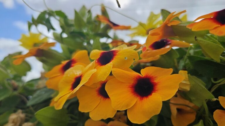 איך תהליך קואצ׳ינג (אימון) יכול לעזור לי ליצור שינוי אמיתי בחיים או בקריירה?