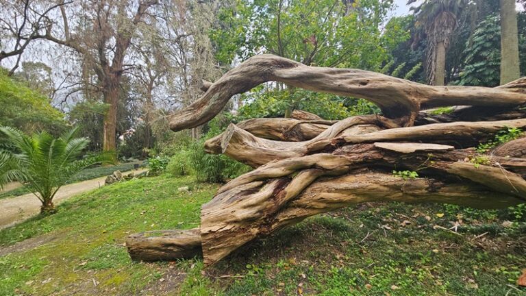 למה חשוב לשלב הערכה מקצועית של מצב הגוף בתוכנית אימון, ואיך זה יכול להשפיע על התוצאות?